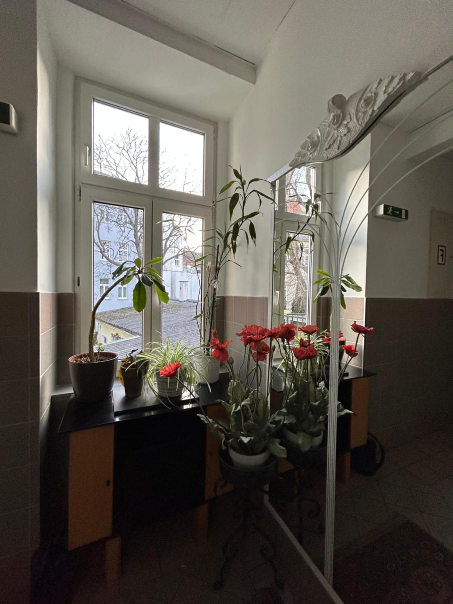 Reiner Apartment Vienne Extérieur photo